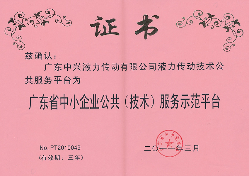 2011年公共(技術)服務示范平臺證書